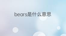 bears是什么意思 bears的中文翻译、读音、例句