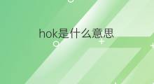 hok是什么意思 hok的中文翻译、读音、例句