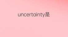 uncertainty是什么意思 uncertainty的中文翻译、读音、例句
