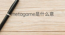 metagame是什么意思 metagame的中文翻译、读音、例句