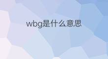 wbg是什么意思 wbg的中文翻译、读音、例句