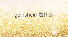geinsheim是什么意思 geinsheim的中文翻译、读音、例句