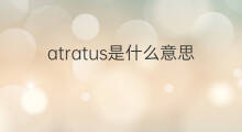 atratus是什么意思 atratus的中文翻译、读音、例句
