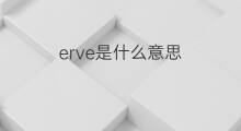 erve是什么意思 erve的中文翻译、读音、例句