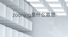 zooning是什么意思 zooning的中文翻译、读音、例句