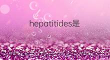 hepatitides是什么意思 hepatitides的中文翻译、读音、例句