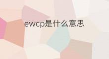 ewcp是什么意思 ewcp的中文翻译、读音、例句