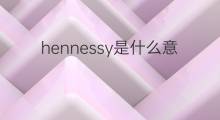 hennessy是什么意思 hennessy的中文翻译、读音、例句