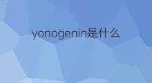 yonogenin是什么意思 yonogenin的中文翻译、读音、例句