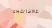 allel是什么意思 allel的中文翻译、读音、例句