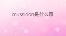 mussidan是什么意思 英文名mussidan的翻译、发音、来源