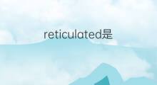 reticulated是什么意思 reticulated的中文翻译、读音、例句