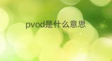 pvod是什么意思 pvod的中文翻译、读音、例句