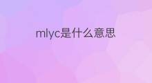 mlyc是什么意思 mlyc的中文翻译、读音、例句