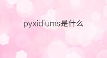 pyxidiums是什么意思 pyxidiums的中文翻译、读音、例句