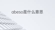 abeso是什么意思 abeso的中文翻译、读音、例句