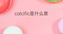 calcific是什么意思 calcific的中文翻译、读音、例句