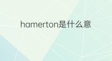 hamerton是什么意思 hamerton的中文翻译、读音、例句