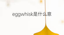 eggwhisk是什么意思 eggwhisk的中文翻译、读音、例句
