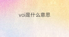 voi是什么意思 voi的中文翻译、读音、例句