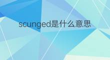 scunged是什么意思 scunged的中文翻译、读音、例句