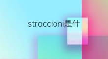 straccioni是什么意思 straccioni的中文翻译、读音、例句
