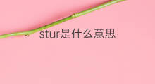 stur是什么意思 stur的中文翻译、读音、例句