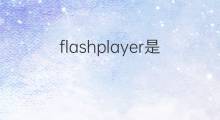 flashplayer是什么意思 flashplayer的中文翻译、读音、例句