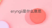 eryngii是什么意思 eryngii的中文翻译、读音、例句
