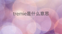 tremie是什么意思 tremie的中文翻译、读音、例句