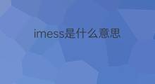 imess是什么意思 imess的中文翻译、读音、例句