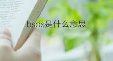 bsds是什么意思 bsds的中文翻译、读音、例句