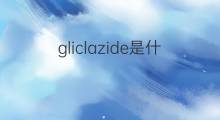 gliclazide是什么意思 gliclazide的中文翻译、读音、例句