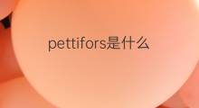 pettifors是什么意思 pettifors的中文翻译、读音、例句