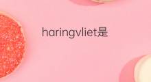 haringvliet是什么意思 haringvliet的中文翻译、读音、例句