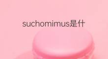 suchomimus是什么意思 suchomimus的中文翻译、读音、例句