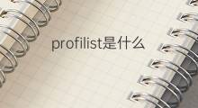 profilist是什么意思 profilist的中文翻译、读音、例句