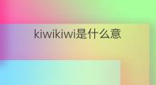 kiwikiwi是什么意思 kiwikiwi的中文翻译、读音、例句