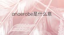 anaerobe是什么意思 anaerobe的中文翻译、读音、例句