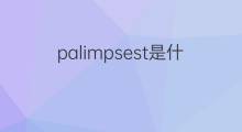 palimpsest是什么意思 palimpsest的中文翻译、读音、例句