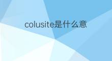 colusite是什么意思 colusite的中文翻译、读音、例句