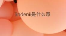 lindenii是什么意思 lindenii的中文翻译、读音、例句