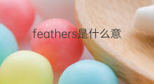 feathers是什么意思 feathers的中文翻译、读音、例句