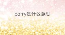 barry是什么意思 barry的中文翻译、读音、例句