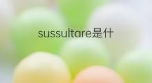 sussultare是什么意思 sussultare的中文翻译、读音、例句