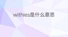 withies是什么意思 withies的中文翻译、读音、例句