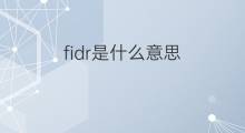 fidr是什么意思 fidr的中文翻译、读音、例句