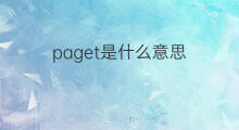 paget是什么意思 英文名paget的翻译、发音、来源