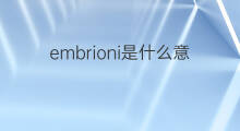 embrioni是什么意思 embrioni的中文翻译、读音、例句