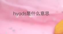 hyads是什么意思 hyads的中文翻译、读音、例句